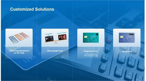 華大電子重磅亮相Seamless 2025，用芯助力數字安全新時代技術服務